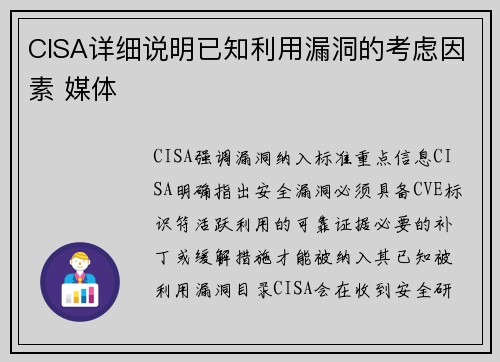 CISA详细说明已知利用漏洞的考虑因素 媒体